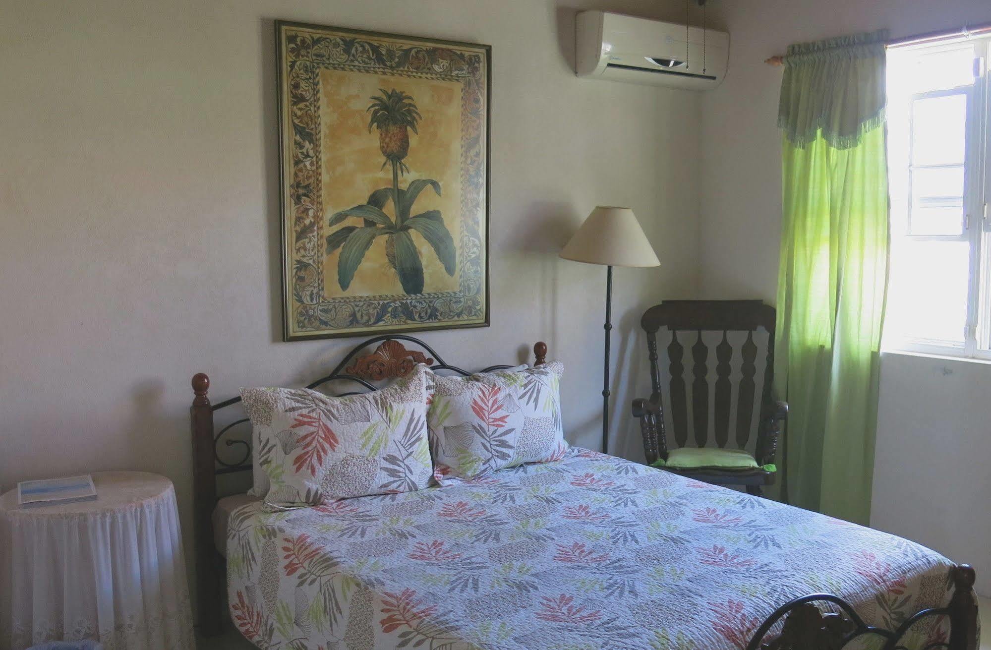 Gemini House Bed & Breakfast Крайст-Черч Экстерьер фото
